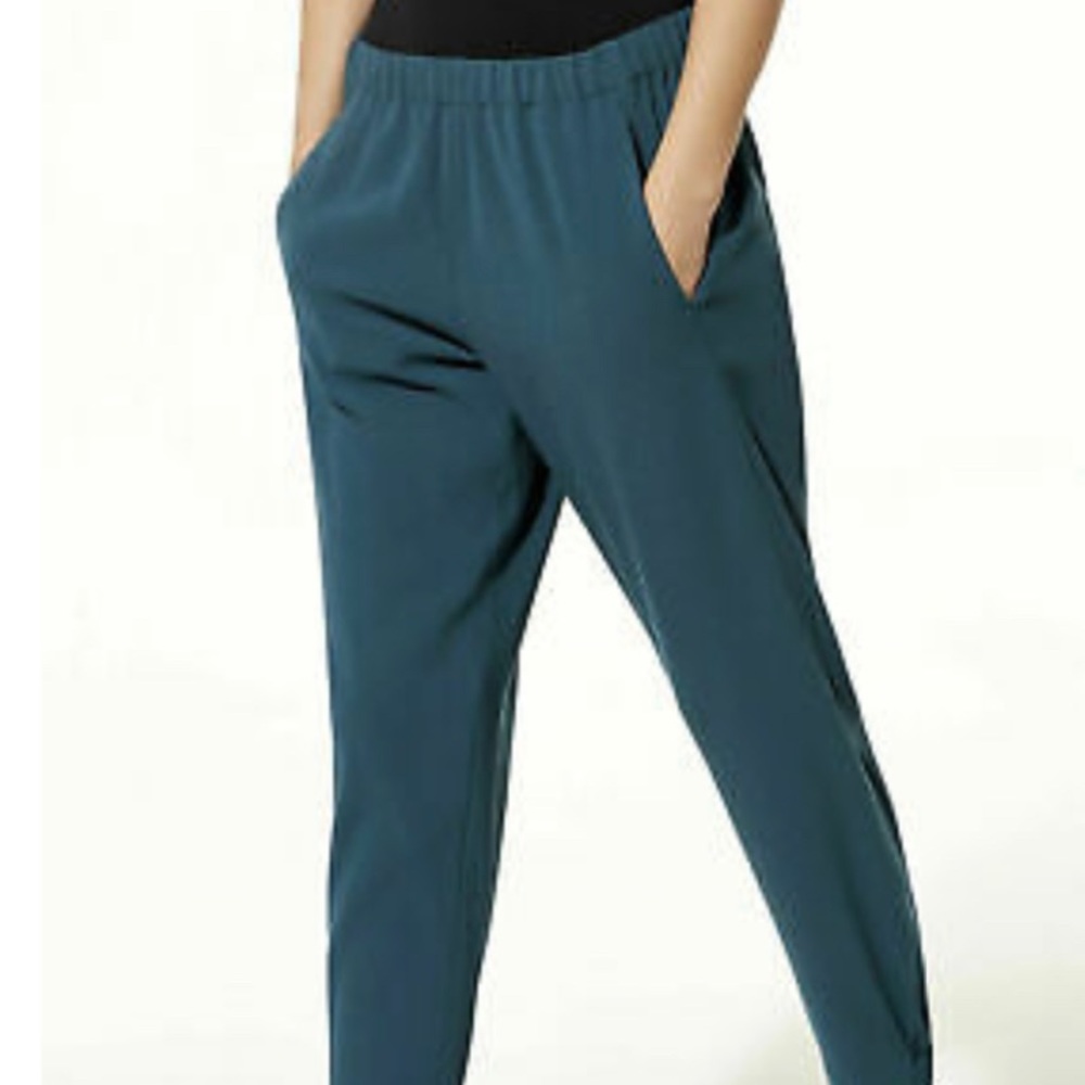 Teal Aritzia work pants